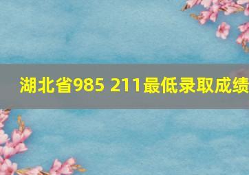 湖北省985 211最低录取成绩